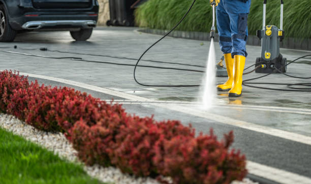  Sa De Oro Mount Helix, CA Pressure Washing Pros
